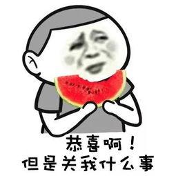 裹干发帽吃娱乐瓜,揭秘吃瓜项目的财富密码