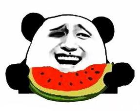 娱乐吃瓜酱快过年了,揭秘爱奇艺内容战略,打造国民大剧新高峰 第3张 娱乐吃瓜酱快过年了,揭秘爱奇艺内容战略,打造国民大剧新高峰 第3张