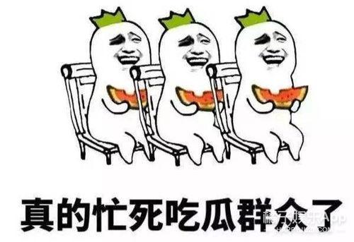 娱乐之星吃瓜群众是谁,揭秘网络时代的互动现象