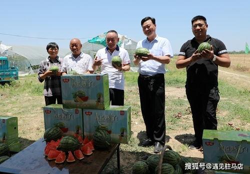 娱乐吃瓜酱生活小技巧,轻松生活小技巧,解锁快乐日常 第3张 娱乐吃瓜酱生活小技巧,轻松生活小技巧,解锁快乐日常 第3张