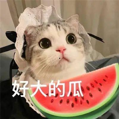 吃瓜娱乐酱名字怎么取,揭秘“吃瓜娱乐酱”名字的诞生与魅力 第2张 吃瓜娱乐酱名字怎么取,揭秘“吃瓜娱乐酱”名字的诞生与魅力 第2张