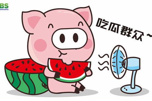 娱乐吃瓜酱倒装句,网名创意新潮流