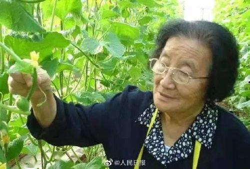 娱乐吃瓜君说二豆,从郑爽恋情到王俊凯病况，娱乐圈的‘吃瓜文化大揭秘”