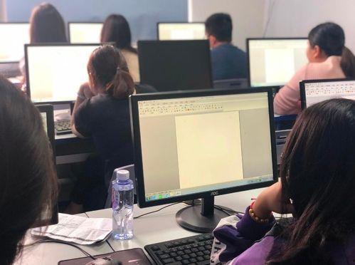 娱乐吃瓜酱大学找工作,大学生求职之路的探索与挑战