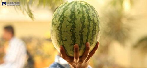 在哪吃娱乐圈的瓜 第3张 在哪吃娱乐圈的瓜 第3张