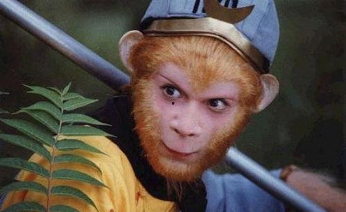 娱乐吃瓜酱西游记,西游记中的趣味解读与幕后故事 第1张 娱乐吃瓜酱西游记,西游记中的趣味解读与幕后故事 第1张