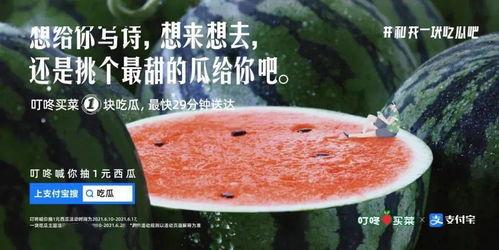 娱乐吃瓜文案怎么弄 第1张 娱乐吃瓜文案怎么弄 第1张