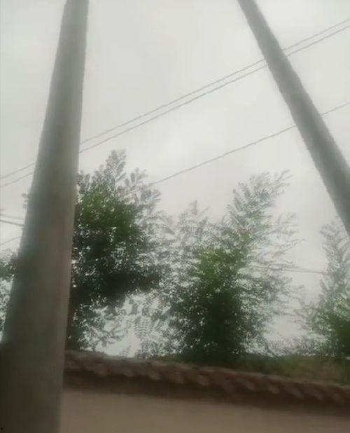 娱乐吃瓜酱电线杆,揭秘娱乐圈那些不为人知的秘密  第2张