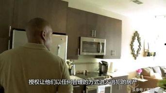 娱乐吃瓜蜀黍大学生,大学生活中的趣味点滴  第3张